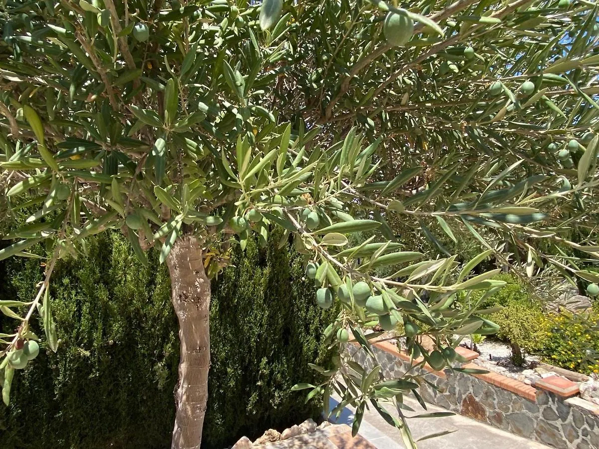 B&B Casa Oceo - Malaga - Andalusie Alhaurín de la Torre Spagna