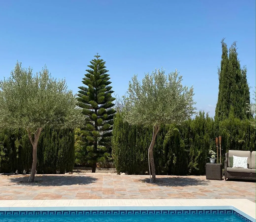 Couette-café B&B Casa Oceo - Malaga - Andalusie Alhaurín de la Torre Espagne
